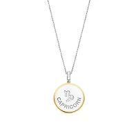 Zodiac Capricorn Necklace