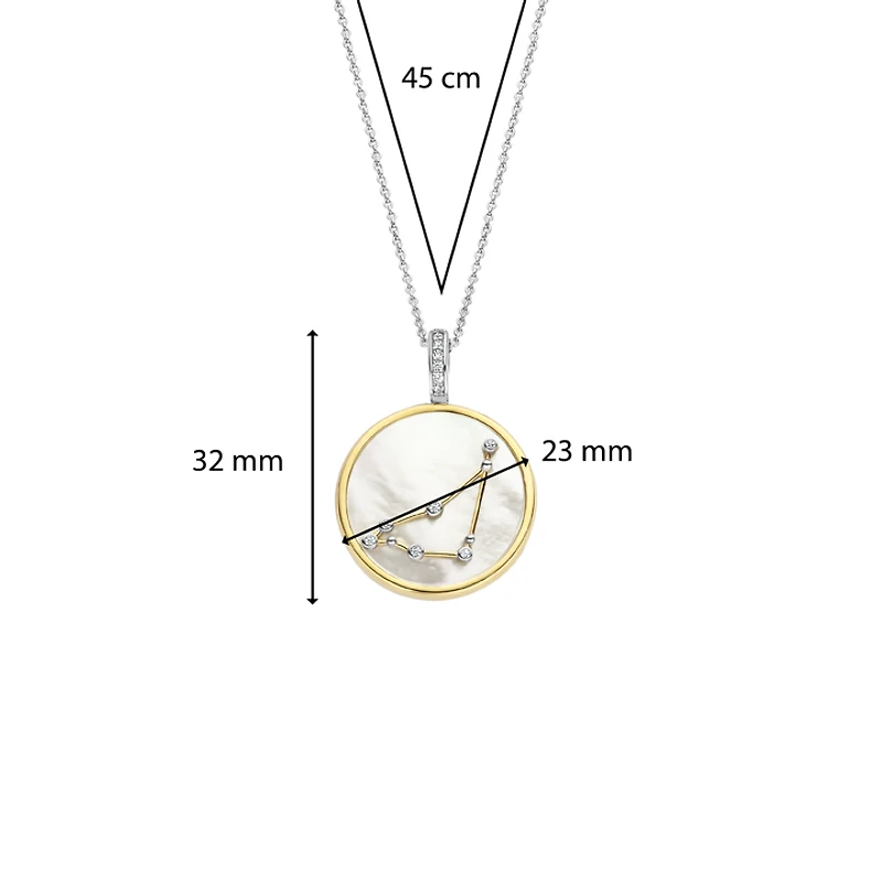 Zodiac Capricorn Necklace