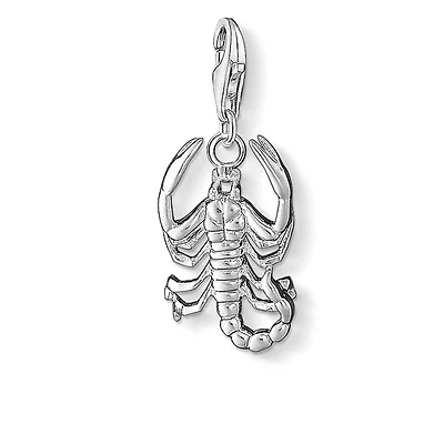 Zodiac Scorpio Charm