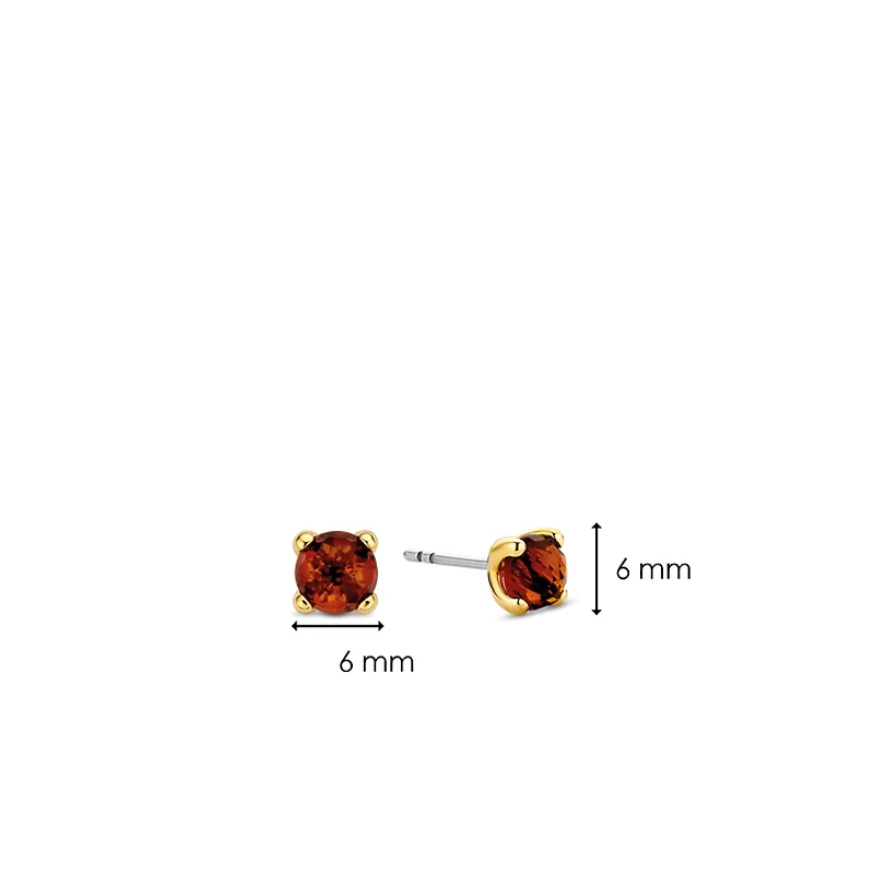 Red Stud Earrings