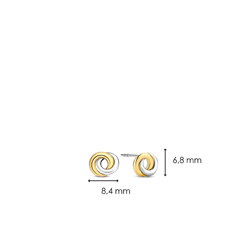 Infinite Wish Two Tone Earrings