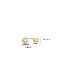 Infinite Wish Two Tone Earrings