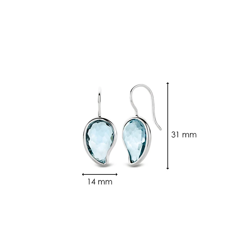 Blue Pasiley Earrings