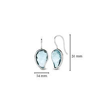 Blue Pasiley Earrings
