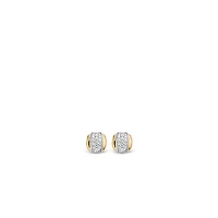 Golden Shine in the Middle Earrings
