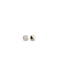 Golden Shine in the Middle Earrings