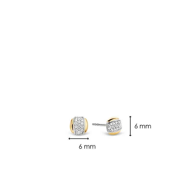 Golden Shine in the Middle Earrings