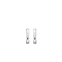 Oval Link Earrings