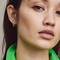 Oval Link Earrings