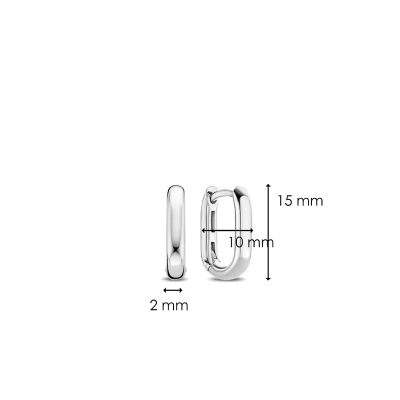 Oval Link Earrings