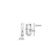 Oval Link Earrings