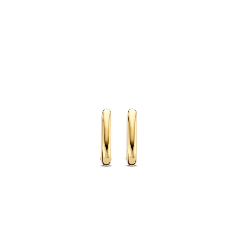 Oval Link Golden Earrings