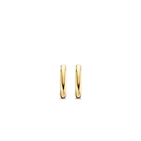 Oval Link Golden Earrings