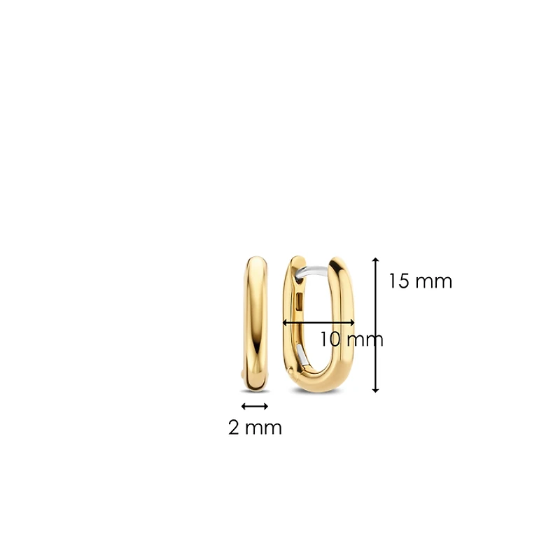 Oval Link Golden Earrings