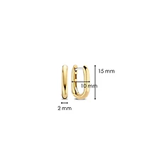 Oval Link Golden Earrings