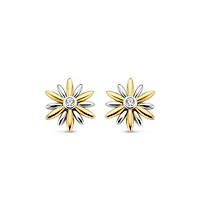 Starry Universe Stud Earrings