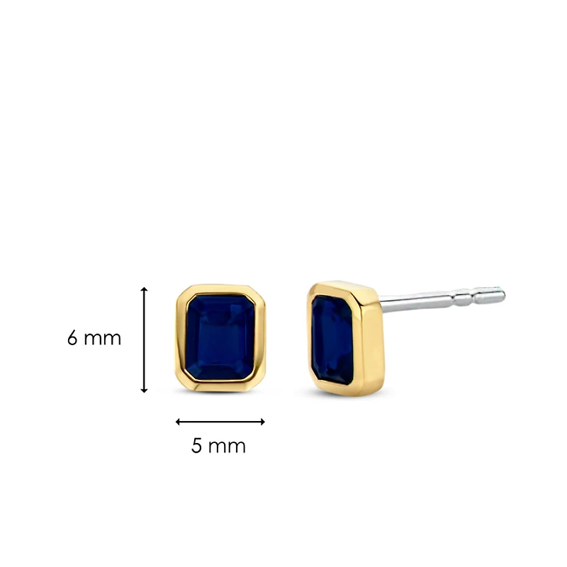 Blue Gem Stud Earrings