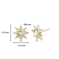 Star Compass Stud Earrings