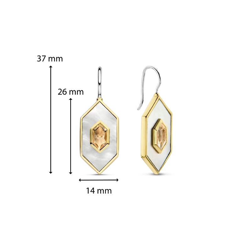 Celestial Mother Pearl Dangle Earrings