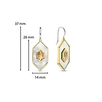 Celestial Mother Pearl Dangle Earrings