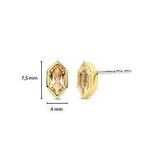 Celestial Peach Stud Earrings