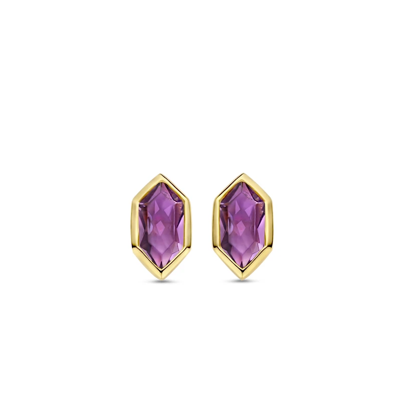 Celestial Violet Stud Earrings
