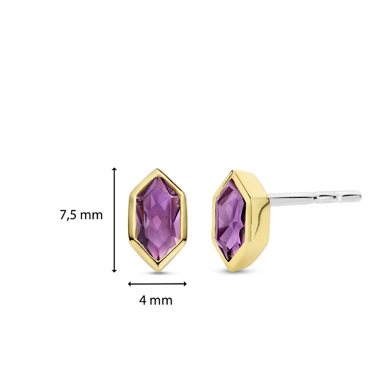 Celestial Violet Stud Earrings