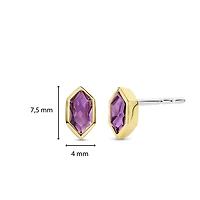 Celestial Violet Stud Earrings
