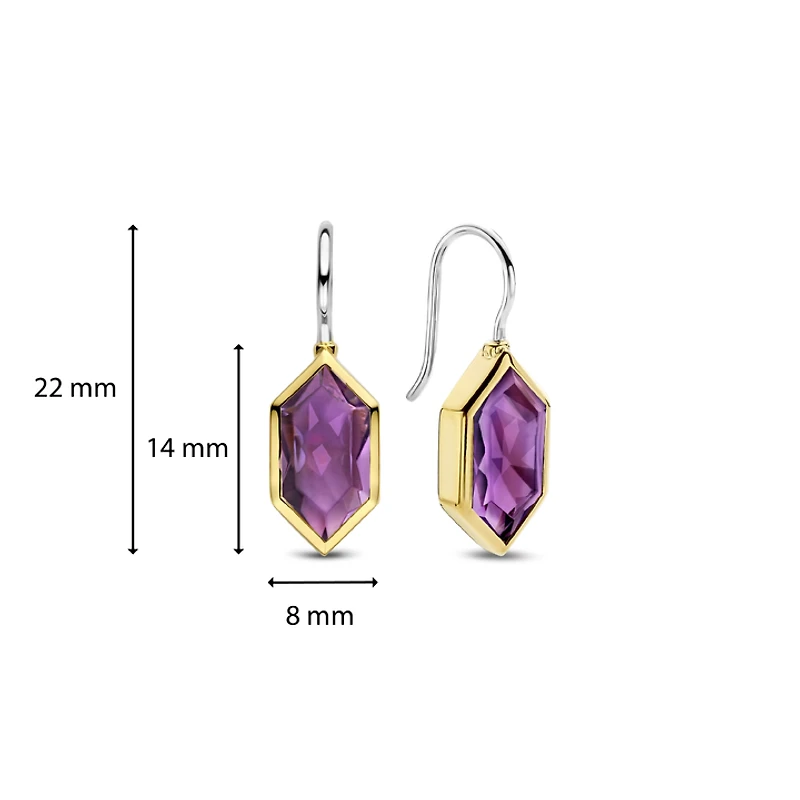 Celestial Violet Dangle Earrings