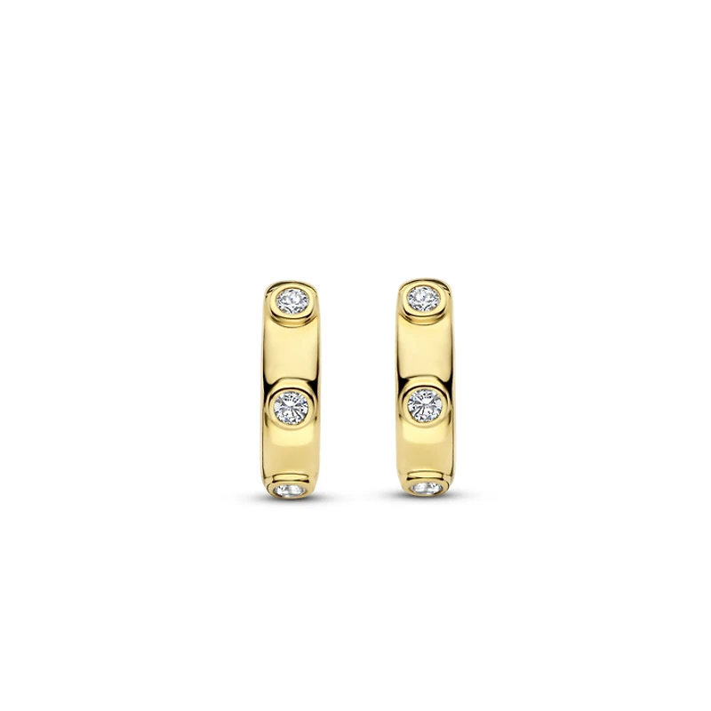 Spots Golden Huggie Earrings