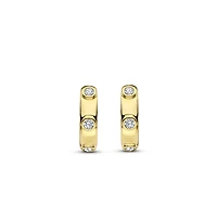 Spots Golden Huggie Earrings