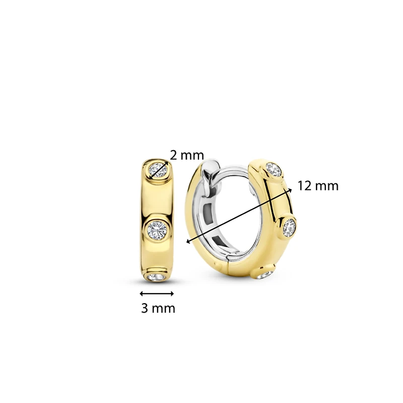 Spots Golden Huggie Earrings