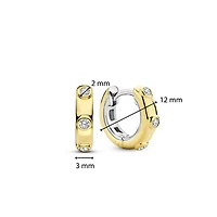 Spots Golden Huggie Earrings