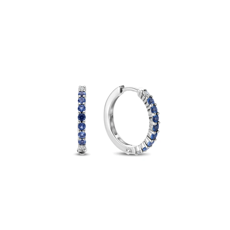Blue and Clear Huggie Earrings