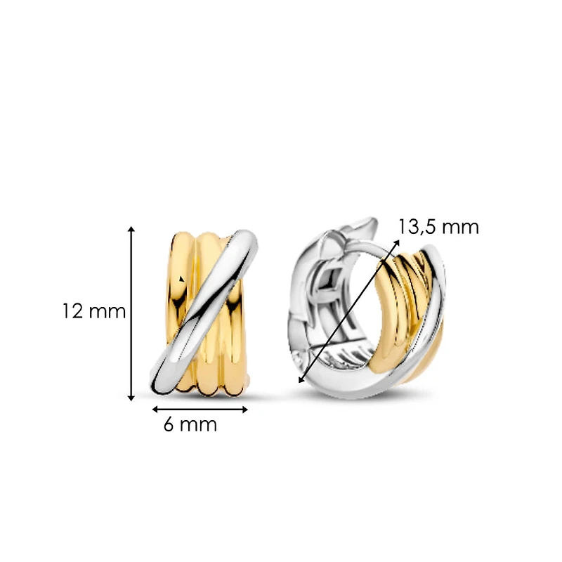 Entwined Two Tone Earrings