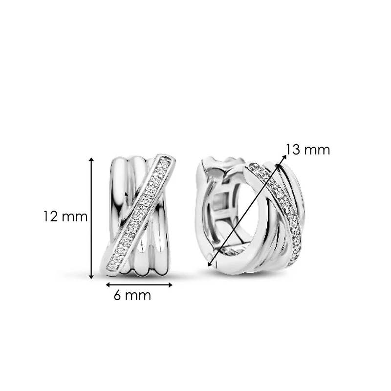 Entwined Sparkle Earrings