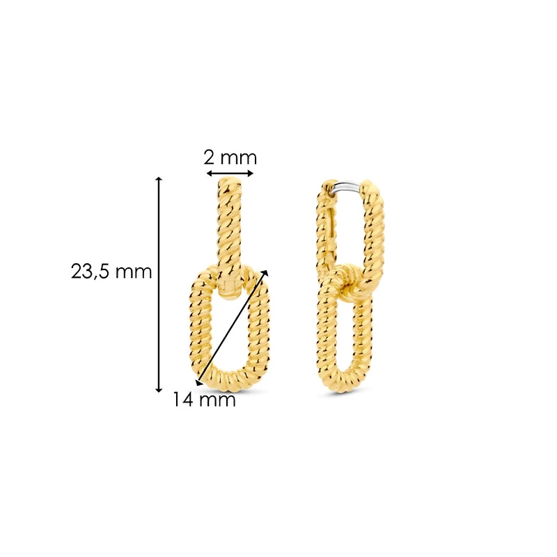 Rope Link Golden Earrings