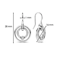 Shine Around Silver Earrings