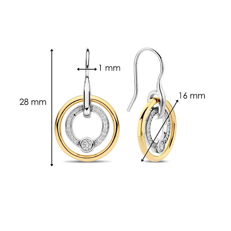 Shine Around Two Tone Earrings