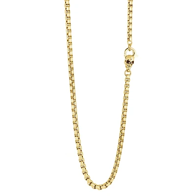 Yellow Steel Round Box Skull Chain
