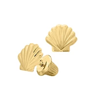 Sea Shell Stud Earrings