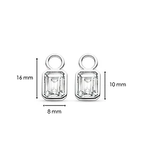 Clear Gem Ear Charms