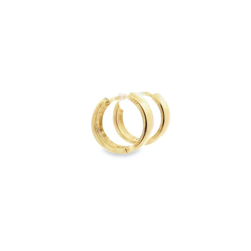 Hoop Hollow Earrings