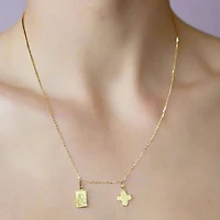 Scapular and Cross Necklace