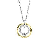 Shine Around Two Tone Necklace