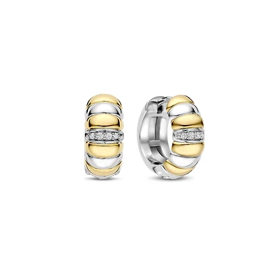 Armadillo Two Tone Earrings