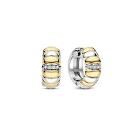 Armadillo Two Tone Earrings