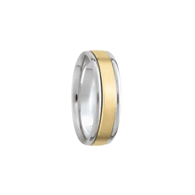 6MM Two Tone Brushed Center Wedding Band