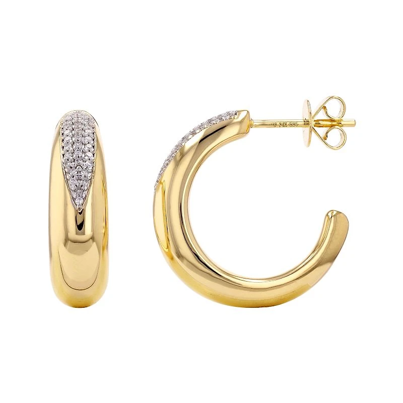 Hoop with Diamond Design Earrings