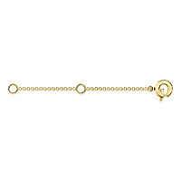 2 Inch Extension Chain
